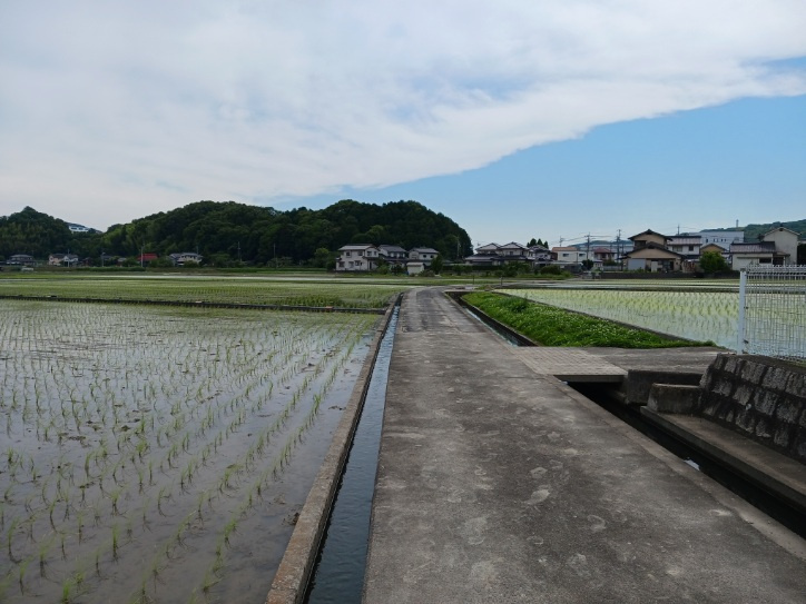 【前面道路含む現地写真】