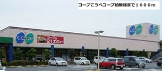 【周辺】 | ツバメ | コープ神戸まで1600m