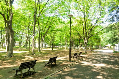 【周辺】 | 板橋区東山町　新築戸建　 A号棟 8580万円 | 都立城北中央公園
