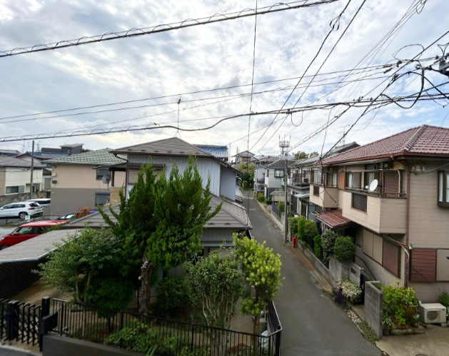 RadIAnce大和田（レイディエンス大和田）の展望