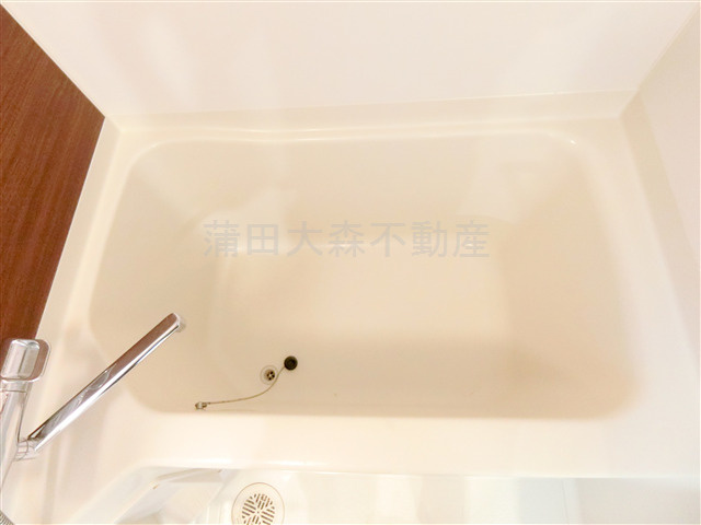 ステージグランデ蒲田Ⅱの浴室