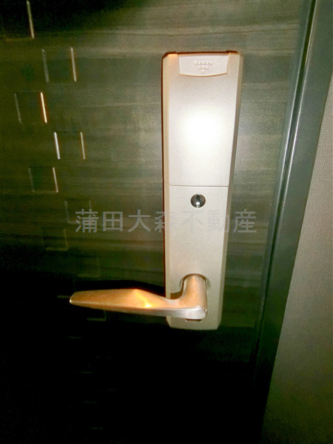 ステージグランデ蒲田Ⅱの玄関