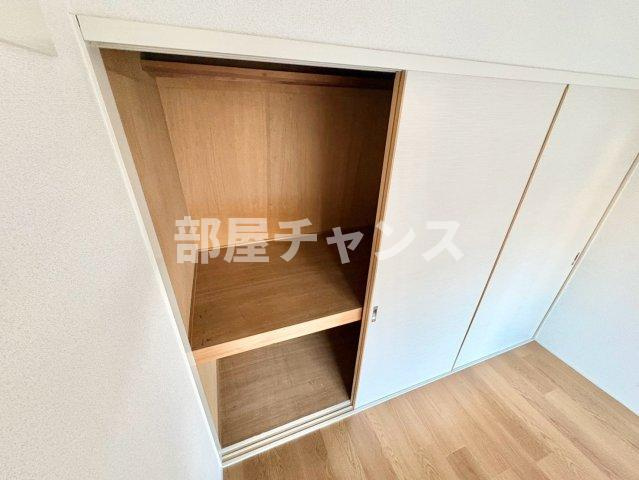 ノイルミナスの収納