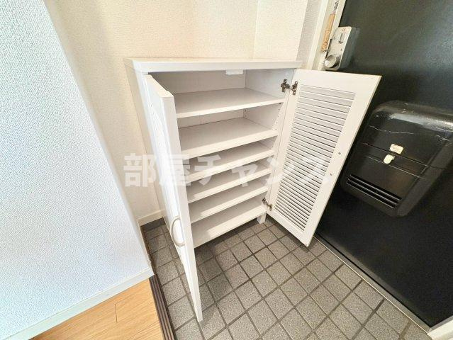 ノイルミナスの収納