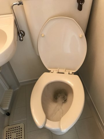 メゾンヒラヤマのトイレ|落ち着いたトイレです