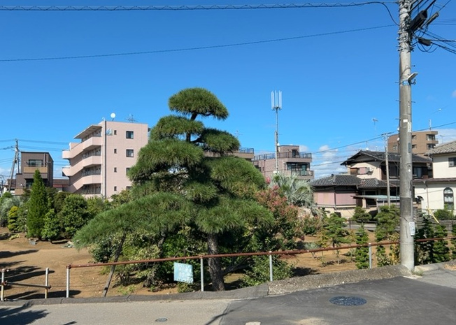 【展望】 | 桜や紅葉の名所に出かける人は多いと思いますが、家にいながら季節の移ろいを感じる生活を送りませんか？リビングや窓から見える景色が生活を彩るワンポイントに！現地から見える景色を堪能してみては如何でしょう。