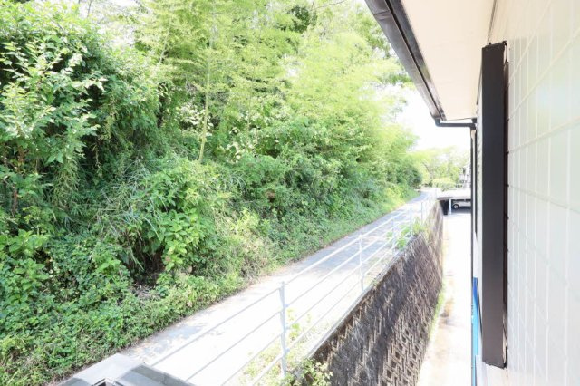 グローバルフォレストの展望