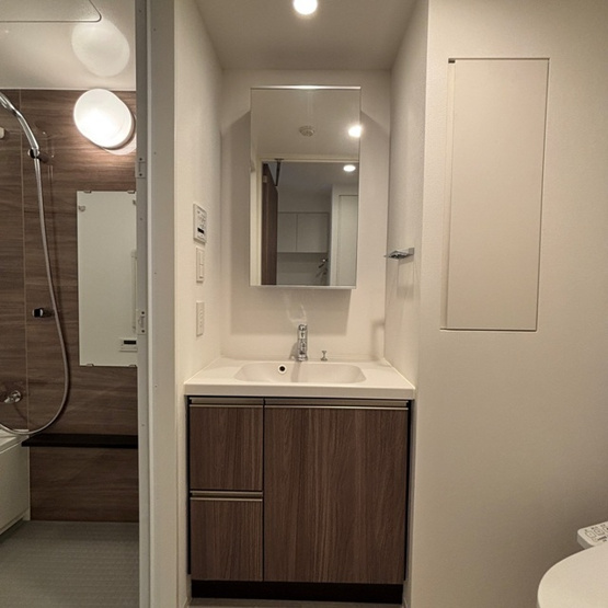 【洗面所】 | パークアクシス品川天王洲アイル | ※写真は同タイプ住戸です。