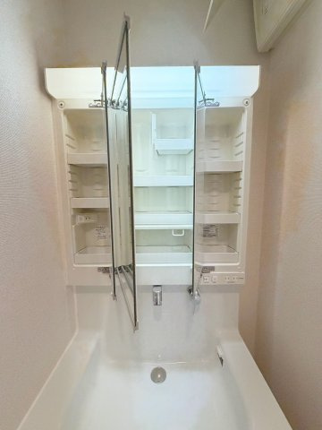 コスモス野上の洗面所