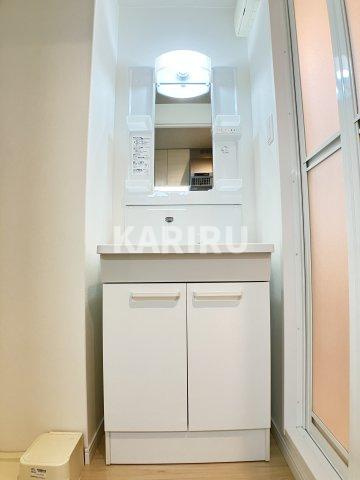 ドゥエリング千林商店街の洗面所