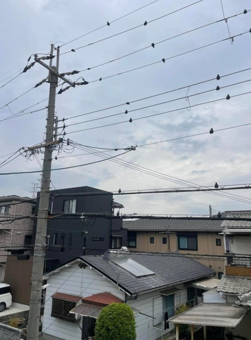 藤井寺市国府2丁目のその他