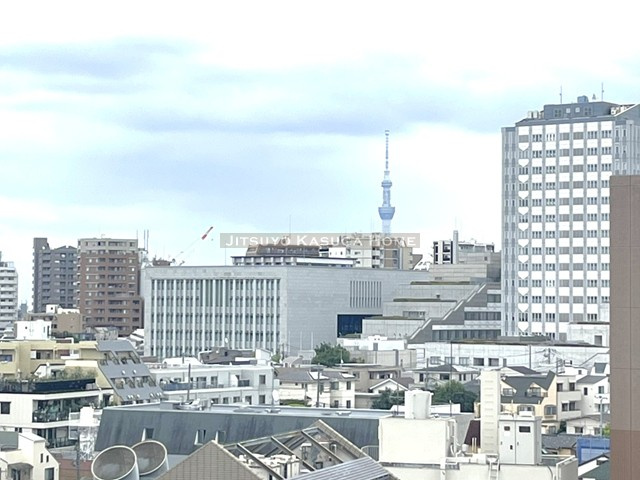 【展望】