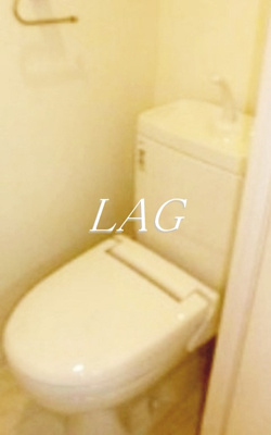 【トイレ】 | ライズ中野新橋 | トイレです。
