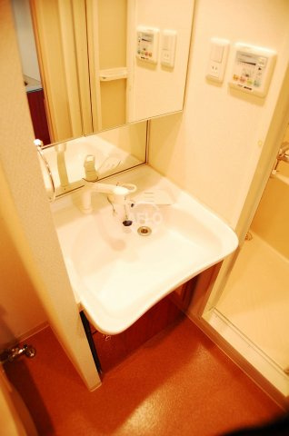 ジュネーゼグラン南堀江の独立洗面台|ジュネーゼグラン南堀江　独立洗面台