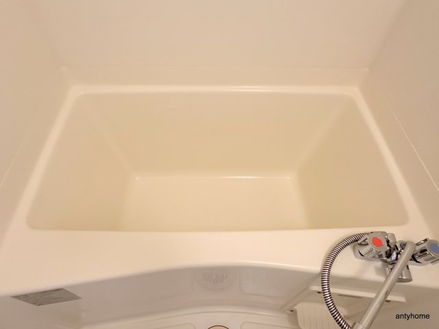 エステムコート難波サウスプレイス2レフィーナ　仲介手数料無料の浴室