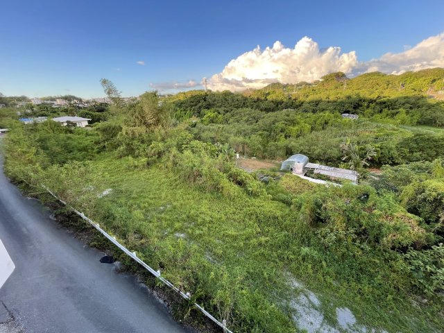 野嵩４丁目　土地の周辺