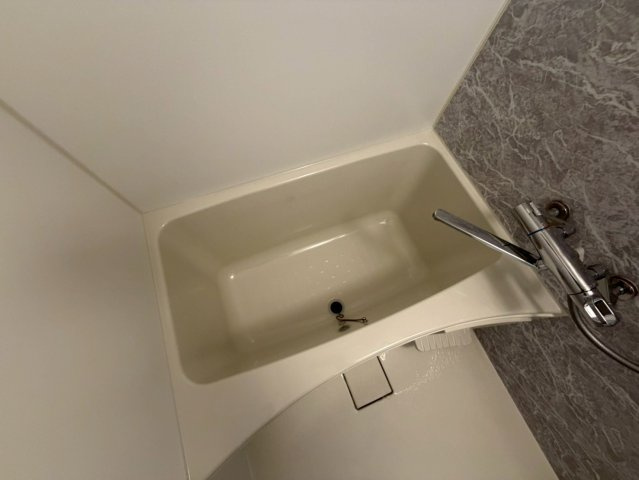 S-RESIDENCE阿波座WESTの浴室