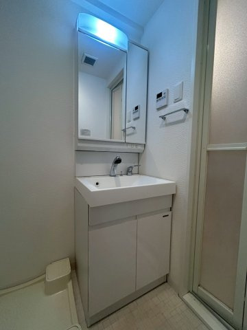 S-RESIDENCE阿波座WESTの洗面所