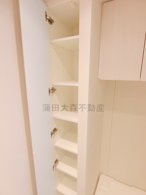シーズンフラッツ大森西の収納|洗面所収納