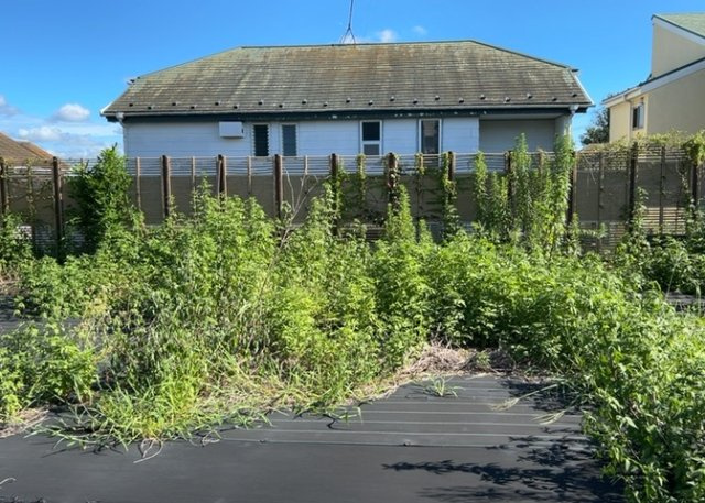 【構造・工法・仕様】 | 木造住宅とは土台、壁、柱など建築物の強度を支える構造体の材に木が使用されている構造を指します。構造体は建物の自重を支えるだけではなく風圧や水圧、積裁荷重などあらゆる衝撃に耐えるための基礎です。