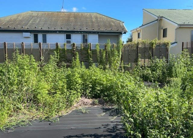 【庭】 | 庭のある家に住むことのメリットとして、子どもたちの遊び場を確保できること、ガーデニングや家庭菜園を楽しめること、明るさを確保できることがあります。また、配置を工夫することでプライバシーが確保できます。