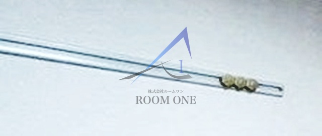 ジュネス山王の内装
