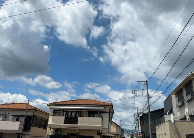【展望】 | 桜や紅葉の名所に出かける人は多いと思いますが、家にいながら季節の移ろいを感じる生活を送りませんか？リビングや窓から見える景色が生活を彩るワンポイントに！現地から見える景色を堪能してみては如何でしょう。