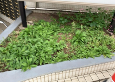 【庭】 | ＴＯＰ・西八王子 | 物件によっては、入居者が個人的に使用できる専用庭がついているものもあります。また、住宅の中にある土間の部分を庭と呼ぶこともあります。庭の用途は住む人によって変わり、それによってデザインもさまざまです。