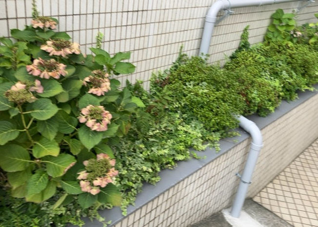 【中庭】 | ＴＯＰ・西八王子 | 中庭（パティオ）とは、一つの建築物の内部に設けられた、壁などで囲われている庭のことを指します。コの字型、ロの字型が主流ですが、L字型の中庭もあります。最近では、インテリア性の高さからも人気があります。