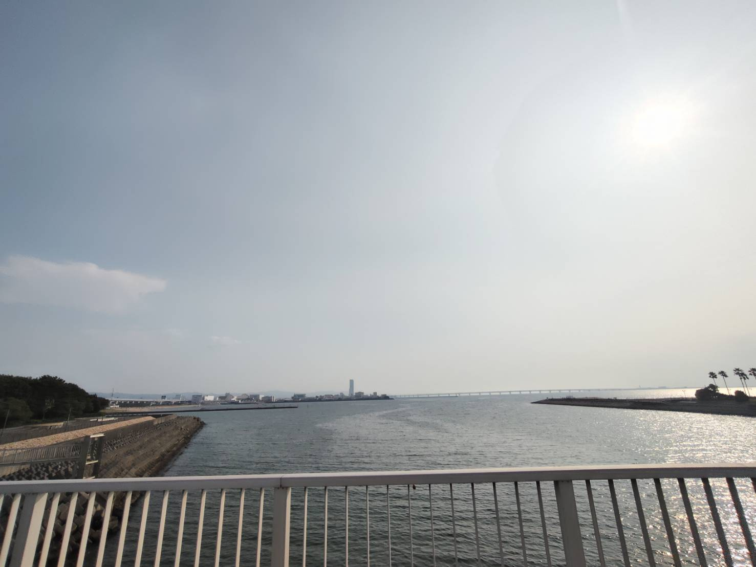貝塚市二色4丁目の周辺|二色大橋