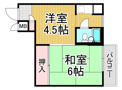 パラツィーナ立花の画像