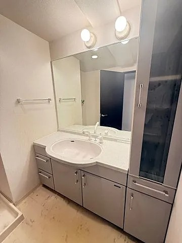 芦屋市親王塚町の賃貸マンションの洗面所