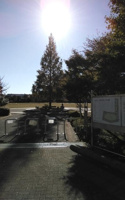 杉並区立桃井原っぱ公園まで704m