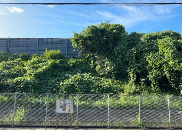 【展望】 | 眺望を気にして物件を探す場合、前面に建物が建っていないか現地で確認しましょう！前面に建物があると景色はもちろん、日当たりや風通しにも影響が出てきます。住んだ時のことを想像しながら現地見学をしましょう。