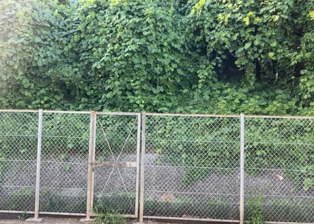 【展望】 | 眺望を気にして物件を探す場合、前面に建物が建っていないか現地で確認しましょう！前面に建物があると景色はもちろん、日当たりや風通しにも影響が出てきます。住んだ時のことを想像しながら現地見学をしましょう。