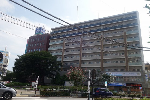 ステラテラス