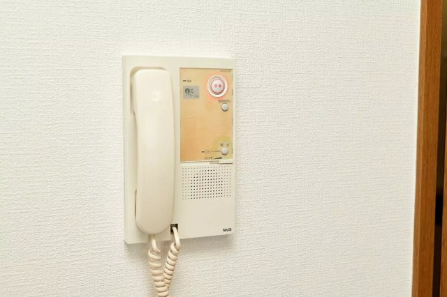 AP161 パステル東幸 602のその他|



