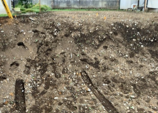 【庭】 | 庭のある家に住むことのメリットとして、子どもたちの遊び場を確保できること、ガーデニングや家庭菜園を楽しめること、明るさを確保できることがあります。また、配置を工夫することでプライバシーが確保できます。