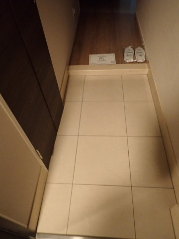 プレシス西ヶ原の玄関