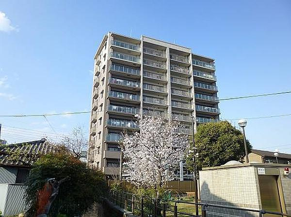 ポレスター越前町のエントランス