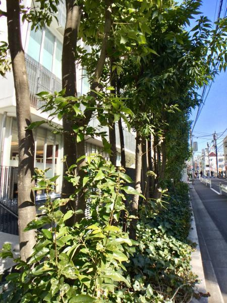 ＳＳ－Ｄのその他