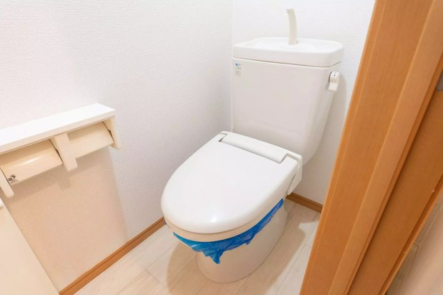 AP1049 レスポワール小岩 202のトイレ|




