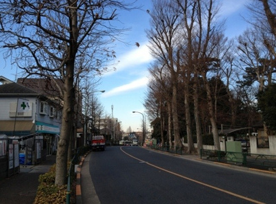 【周辺】 | 成田西220戸建て(浜田山賃貸一戸建て) | 成田西220戸建て(浜田山賃貸一戸建て)