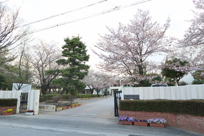 春日部市立立野小学校まで220ｍ