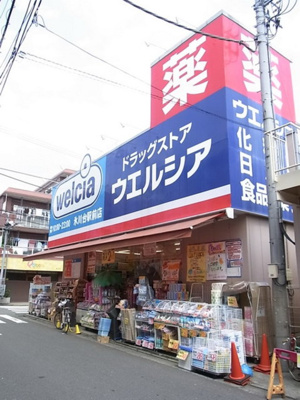 ウエルシア薬局練馬向山店 徒歩4分。ドラックストア 270m