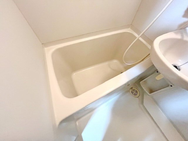 バス