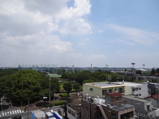 等々力緑地 徒歩5分。 339m