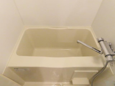 バス