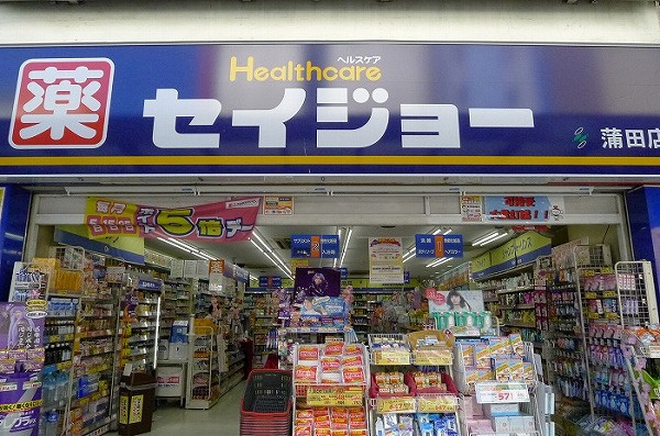 ステージグランデ蒲田Ⅱの周辺|くすりセイジョー蒲田店 424m