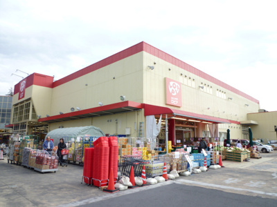 ロピア 綾瀬店まで800ｍ